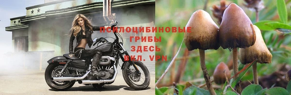 трава Краснотурьинск