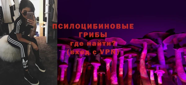 ALPHA PVP Краснослободск