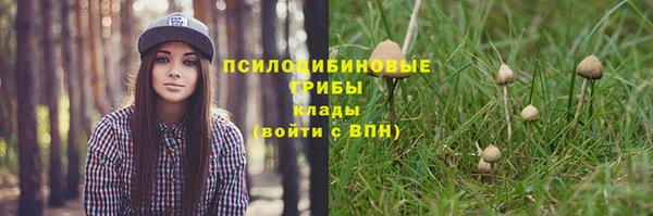 трава Краснотурьинск